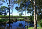 Pet Boarding Grounds